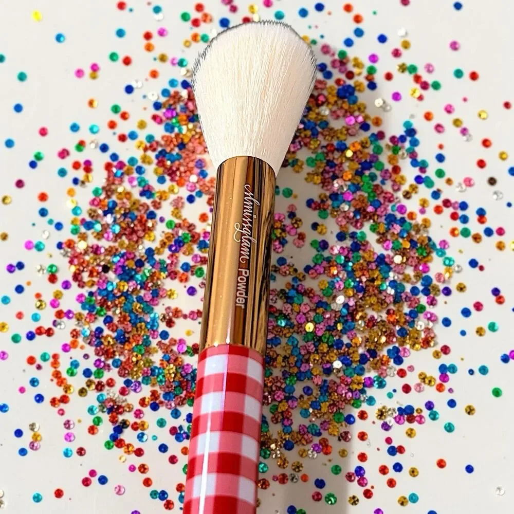 SLMISSGLAM  Gingham Face Brush Brand New MSRP $28
